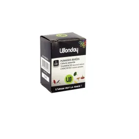 Boite de 100 punaises rivées tête couleur Wonday