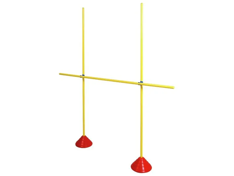 BUT D'INITIATION MULTISPORTS