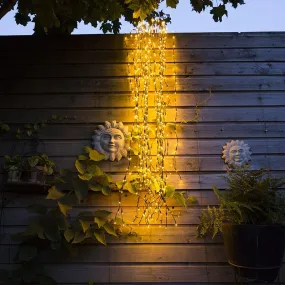 Lumières de Noël Treurwilg LED blanc chaud 2 mètres