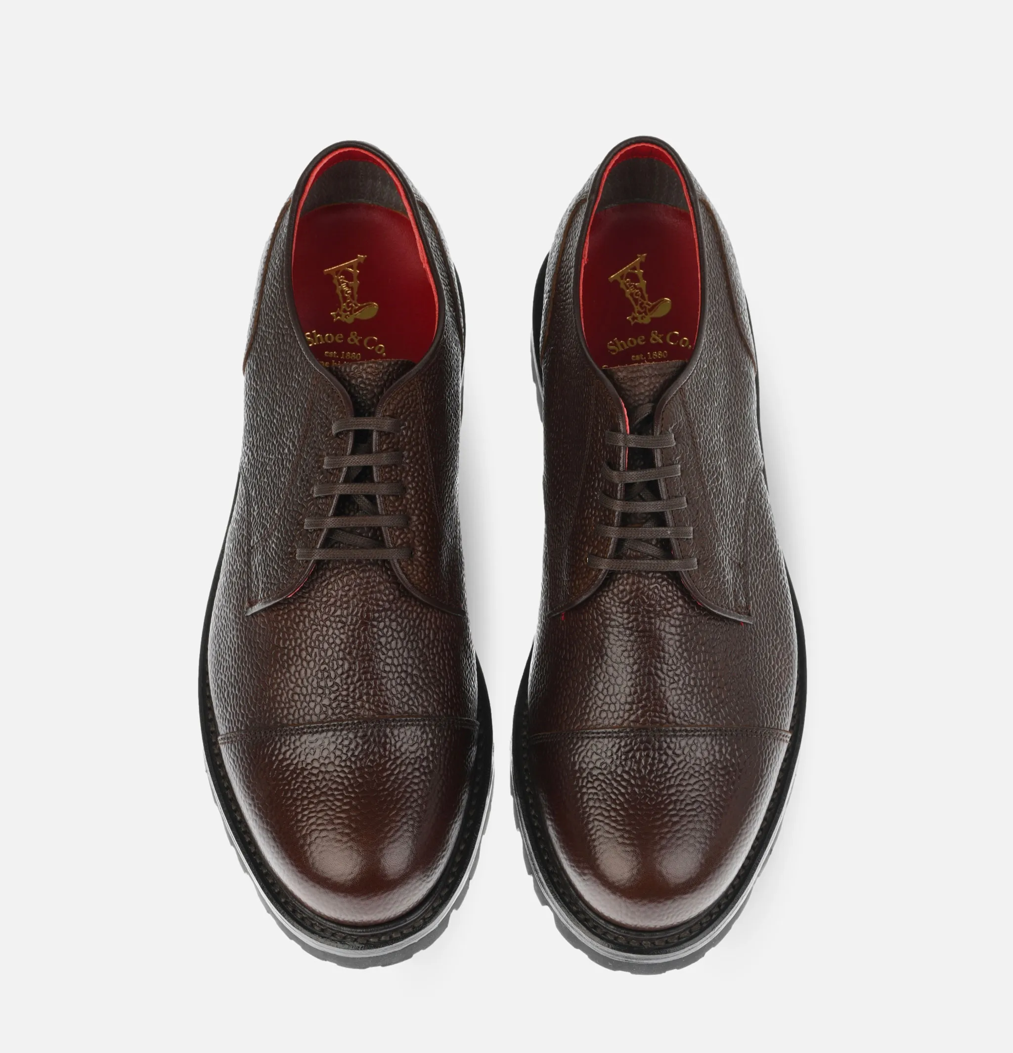Regal Shoe & Co | Straight Tip Derby Gore Tex | Royalcheese